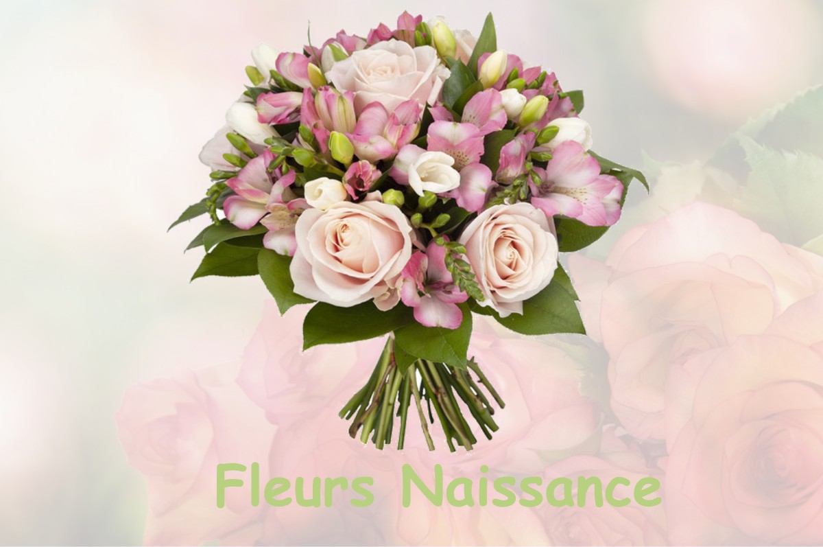 fleurs naissance RETJONS