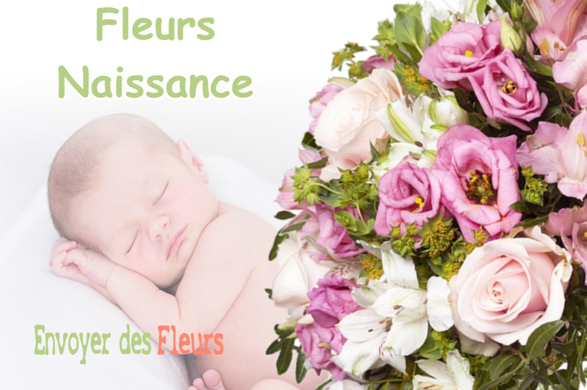 lIVRAISON FLEURS NAISSANCE à RETJONS